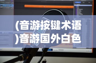 (音游按键术语)音游国外白色圆键，探索音乐游戏的新世界