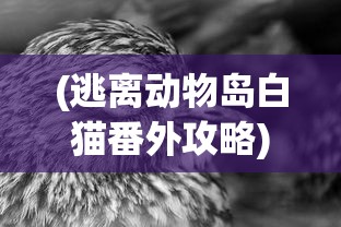 (逃离动物岛白猫番外攻略)逃离动物岛，昆虫精华的秘密探索