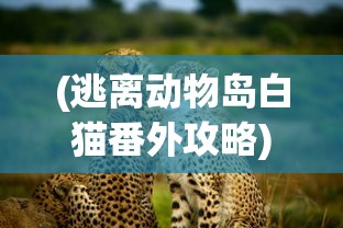 (逃离动物岛白猫番外攻略)逃离动物岛，昆虫精华的秘密探索