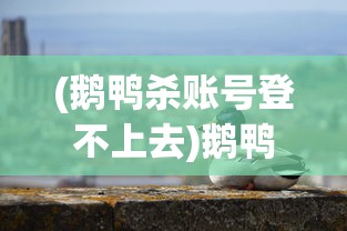 (鹅鸭杀账号登不上去)鹅鸭杀账号详解，注册、使用与常见问题解答