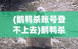 (鹅鸭杀账号登不上去)鹅鸭杀账号详解，注册、使用与常见问题解答