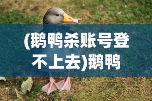 (鹅鸭杀账号登不上去)鹅鸭杀账号详解，注册、使用与常见问题解答