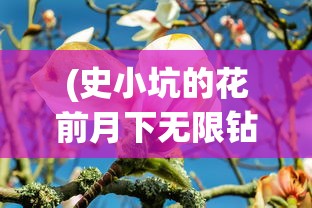 (史小坑的花前月下无限钻石版)史小坑的花前月下，无限钻石的魅力与探索
