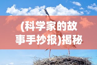 (科学家的故事手抄报)揭秘科学家背后的故事，探索伟大发现的背后