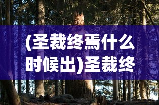 (《寻妖》)寻妖，神秘莫测的奇幻世界——基于百度百科的深入解析