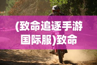 (致命追逐手游国际服)致命追逐国际服，一场跨越界限的竞技盛宴