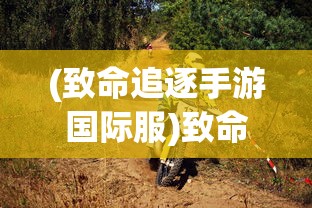 (致命追逐手游国际服)致命追逐国际服，一场跨越界限的竞技盛宴