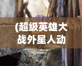 (真三国战记手游破解版)真三国战记内购版手游，深度探索与常见问题解答