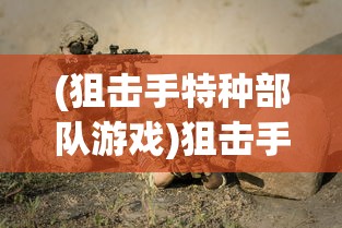 (狙击手特种部队游戏)狙击手与特种部队，精英中的精英