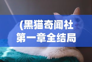 (黑猫奇闻社第一章全结局攻略)黑猫奇闻社第一章全结局解析与探讨