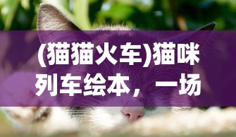 (猫猫火车)猫咪列车绘本，一场梦幻的旅程与温馨的相遇