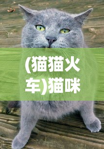 (仙剑奇侠传4单机手游官网)仙剑奇侠传4单机手游，重温经典，探索未知之旅