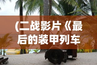 (二战影片《最后的装甲列车》)最后的装甲列车完整版1080，战火中的生存与挑战