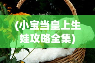 (小宝当皇上生娃攻略全集)小宝当皇上，生娃攻略及常见问题解答