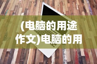 (电脑的用途作文)电脑的用处作文