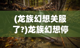 (龙族幻想关服了?)龙族幻想停服了？深度分析与探讨