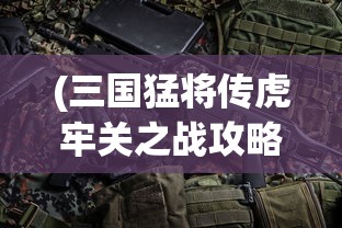 (三国猛将传虎牢关之战攻略视频)三国猛将传虎牢关之战全面攻略及FAQ解答手册