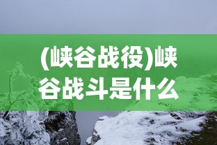 (峡谷战役)峡谷战斗是什么，深度解析与常见问题解答