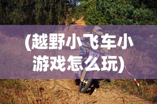 (越野小飞车小游戏怎么玩)越野小飞车小游戏，激情四溢的户外探险体验