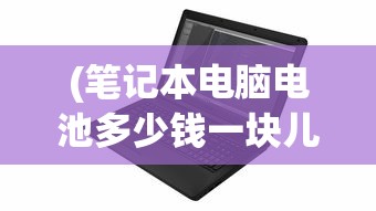 (笔记本电脑电池多少钱一块儿)笔记本电脑电池价格概览，多少钱一块？