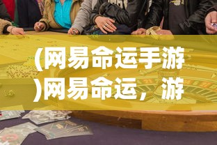 (网易命运手游)网易命运，游戏背后的故事与挑战