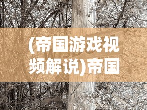(帝国游戏视频解说)帝国生存游戏，策略、挑战与未来展望