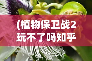(植物保卫战2玩不了吗知乎)关于植物保卫战2无法游戏的探讨及常见问题解答
