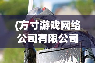 (方寸游戏网络公司有限公司)方寸战争游戏，策略与战术的极致挑战