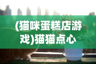 (猫咪蛋糕店游戏)猫猫点心铺游戏，萌宠与美食的完美结合