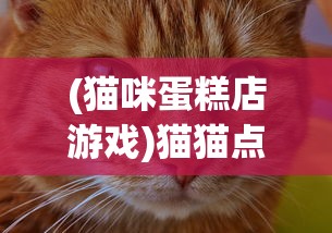 (猫咪蛋糕店游戏)猫猫点心铺游戏，萌宠与美食的完美结合