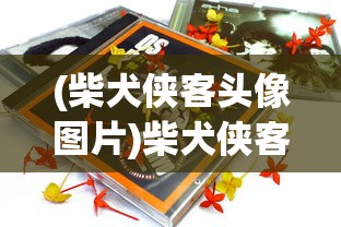 (柴犬侠客头像图片)柴犬侠客头像，潮流与文化的交融