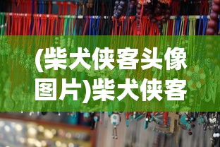(柴犬侠客头像图片)柴犬侠客头像，潮流与文化的交融