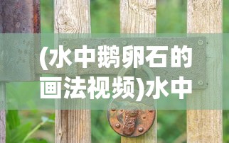 (水中鹅卵石的画法视频)水中鹅卵石的画法，从基础到高级的技巧解析