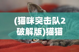 (打假良品铺子博主最新发声杨运根)打假良品铺子，博主最新发声揭示真相之路