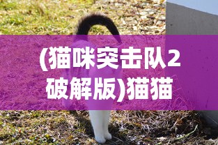 (猫咪突击队2破解版)猫猫突击队2钻石修改攻略及常见问题解答