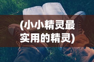 (小小精灵最实用的精灵)小小精灵，黑化精灵捕捉攻略