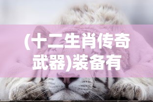 (十二生肖传奇武器)装备有十二生肖套装的传奇故事