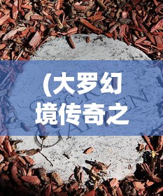 (大罗幻境传奇之旅破解版)大罗幻境传奇之旅，探索神秘世界的奥秘