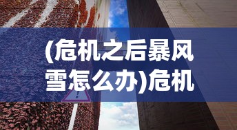 (危机之后暴风雪怎么办)危机之后的暴风雪，挑战与机遇并存