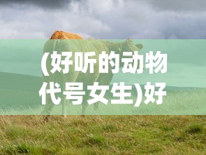 (好听的动物代号女生)好听的动物代号，动物名称的多样性与文化意义