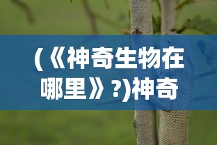 (《神奇生物在哪里》?)神奇生物在哪里，探索未知生物世界的奥秘与魅力