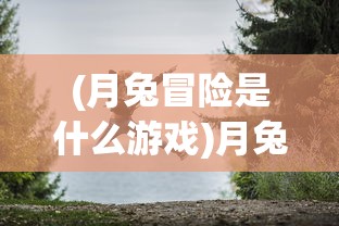 (月兔冒险是什么游戏)月兔冒险游戏，探索未知世界的奇幻之旅