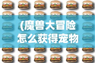 (魔兽大冒险怎么获得宠物装备)魔兽大冒险，宠物获取攻略