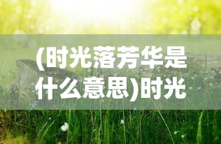 (时光落芳华是什么意思)时光落芳华，探寻岁月之美与人生之韵