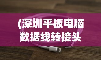 (深圳平板电脑数据线转接头在哪里买)关于深圳平板电脑数据线转接头的深度解析
