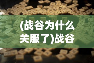 (战谷为什么关服了)战谷游戏还能玩吗？全面解析与常见问题解答