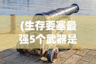 (生存要塞最强5个武器是什么)生存要塞，揭秘五大最强武器
