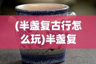 (半盏复古行怎么玩)半盏复古行为什么玩不了的深度解析及解决方案