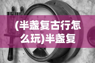 (半盏复古行怎么玩)半盏复古行为什么玩不了的深度解析及解决方案