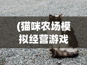 (猫咪农场模拟经营游戏名字叫什么)猫咪农场模拟器，无限金币的乐趣与挑战